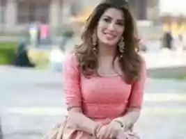 Free download bollywoocatnew free photo or picture to be edited with GIMP online image editor