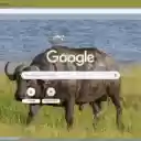 Bo ma  screen for extension Chrome web store in OffiDocs Chromium