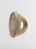 Free download Bone finger ring free photo or picture to be edited with GIMP online image editor