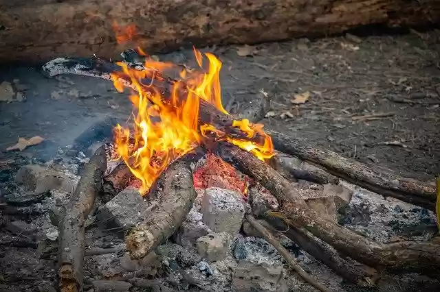 मुफ्त डाउनलोड बोनफायर फायरवुड - जीआईएमपी ऑनलाइन छवि संपादक के साथ संपादित करने के लिए मुफ्त फोटो या तस्वीर
