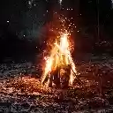 Bonfire in the Night Forest  screen for extension Chrome web store in OffiDocs Chromium