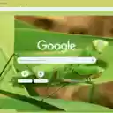 Bo Ngua  screen for extension Chrome web store in OffiDocs Chromium