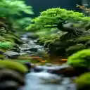 Bonsai tree wallpaper  screen for extension Chrome web store in OffiDocs Chromium