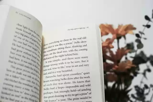 Free download Book Flower Paper -  free free photo or picture to be edited with GIMP online image editor