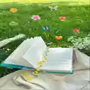 Book in the meadow Wallpaper  screen for extension Chrome web store in OffiDocs Chromium