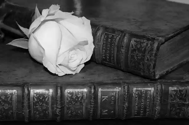 Free download Book Libro Romantic -  free photo or picture to be edited with GIMP online image editor