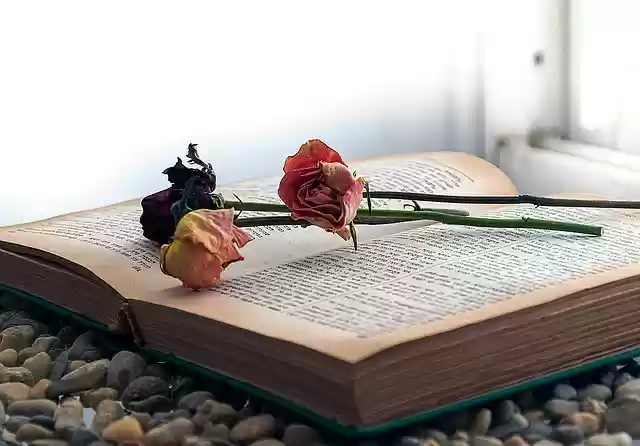 Free download book roses read literature wisdom free picture to be edited with GIMP free online image editor