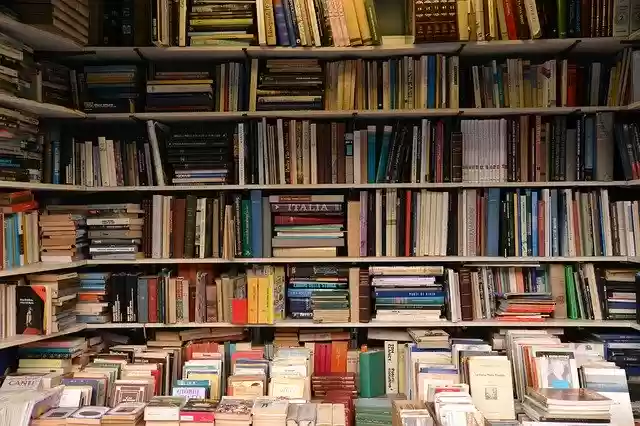 Free download Books Bookshop Read -  free photo or picture to be edited with GIMP online image editor