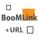 BoomLink Chorme Plagin  screen for extension Chrome web store in OffiDocs Chromium