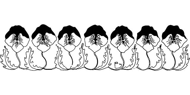 Free download Border Flower Pansy - Free vector graphic on Pixabay free illustration to be edited with GIMP free online image editor