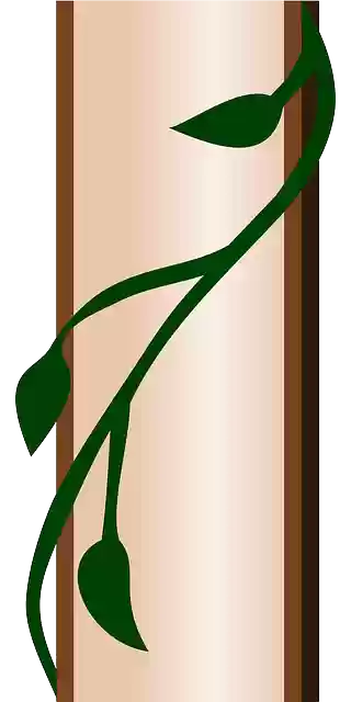 Free download Border Vine Ivy - Free vector graphic on Pixabay free illustration to be edited with GIMP free online image editor