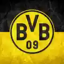 Borussia Dortmund Wallpaper  screen for extension Chrome web store in OffiDocs Chromium