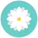 Boruto Uzumaki Himawari  screen for extension Chrome web store in OffiDocs Chromium