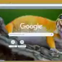 Bo sat da  screen for extension Chrome web store in OffiDocs Chromium