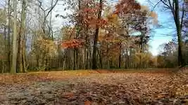 Free download Bosco Panorama Parco Nazionale -  free video to be edited with OpenShot online video editor