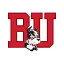 Boston University Theme  screen for extension Chrome web store in OffiDocs Chromium