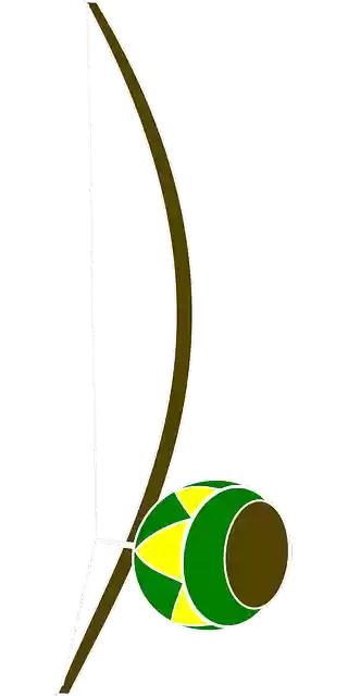 Descarga gratuita Arco Equipos De Pesca - Gráficos vectoriales gratis en Pixabay ilustración gratuita para editar con GIMP editor de imágenes en línea gratuito