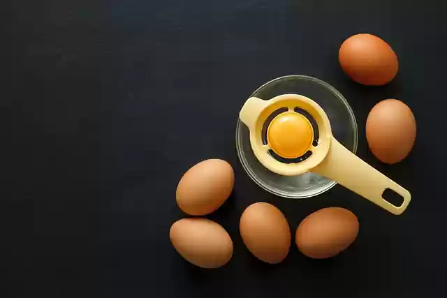 Free download bowl breakfast cooking egg fresh free picture to be edited with GIMP free online image editor