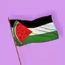 Boycott For Palestine  screen for extension Chrome web store in OffiDocs Chromium