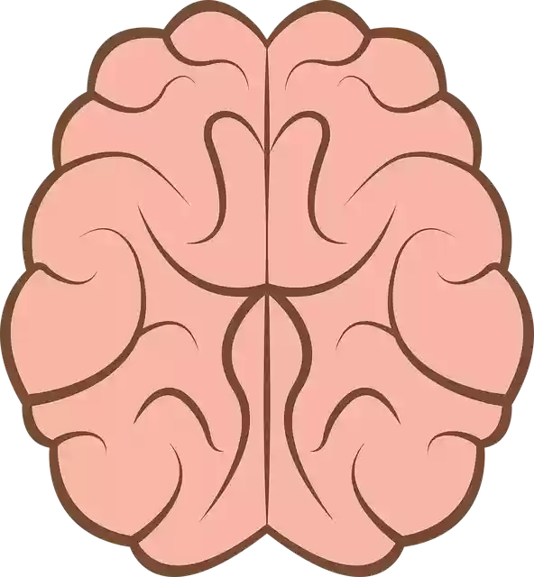 ດາວໂຫຼດຟຣີ Brain Mind Psychology - ຮູບພາບ vector ຟຣີໃນ Pixabay ຮູບພາບທີ່ບໍ່ເສຍຄ່າເພື່ອແກ້ໄຂດ້ວຍ GIMP ບັນນາທິການຮູບພາບອອນໄລນ໌ຟຣີ