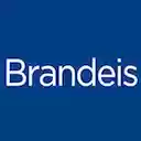 Brandeis University Theme  screen for extension Chrome web store in OffiDocs Chromium