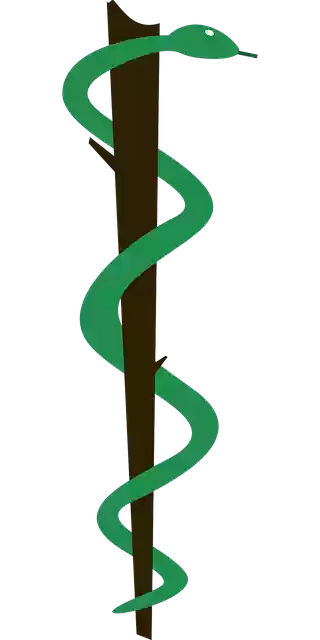 Free download Brazilian Medicine Symbol - Free vector graphic on Pixabay free illustration to be edited with GIMP free online image editor
