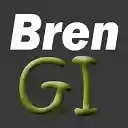 BRENGI WEB HOSTING  screen for extension Chrome web store in OffiDocs Chromium