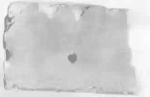 Free download Brick, glazed free photo or picture to be edited with GIMP online image editor