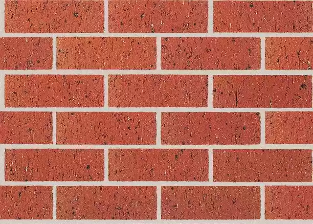 Free download Bricks Fact World Enter The -  free photo or picture to be edited with GIMP online image editor