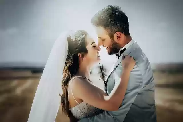 Free download Bridal Son In Law Wedding -  free free photo or picture to be edited with GIMP online image editor