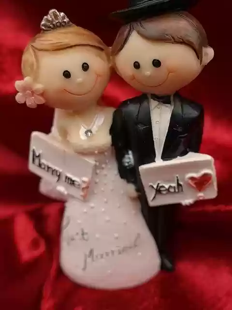 Free download Bride And Groom Wedding Love -  free photo or picture to be edited with GIMP online image editor