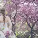 Bride in the flower garden  screen for extension Chrome web store in OffiDocs Chromium