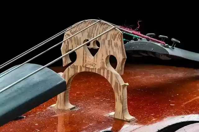 Free download bridge cello musical instrument free picture to be edited with GIMP free online image editor