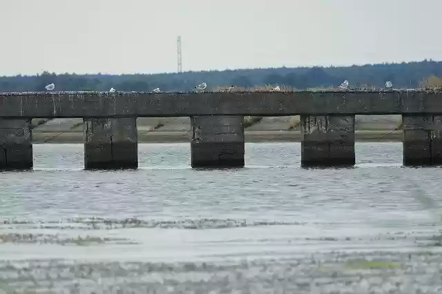 Free download Bridge Lagoon Way -  free photo or picture to be edited with GIMP online image editor