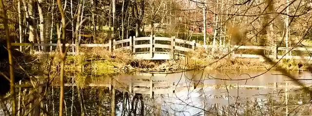 Free download Bridge Lake Pond Water -  free free photo or picture to be edited with GIMP online image editor
