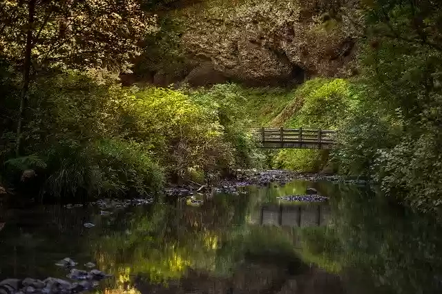 Free download Bridge Quite Calm -  free photo or picture to be edited with GIMP online image editor