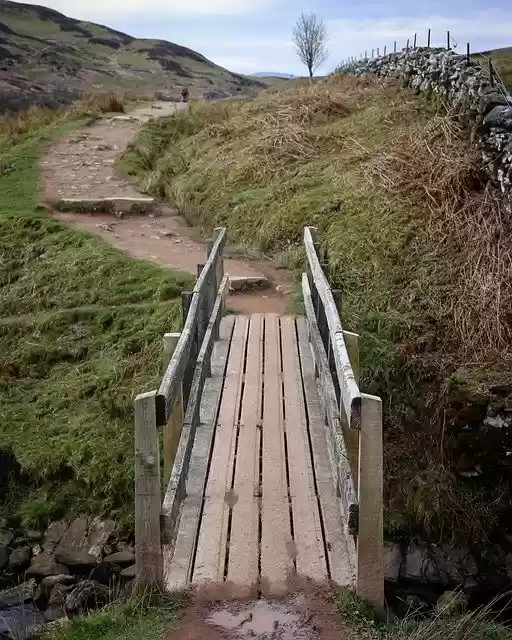 Free download Bridge Sky Grass -  free photo or picture to be edited with GIMP online image editor