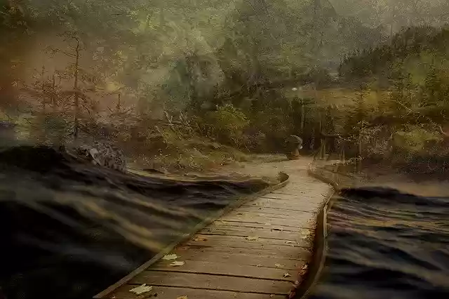 Free download Bridge Water Forest -  free illustration to be edited with GIMP free online image editor