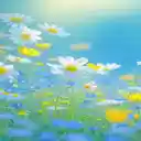 Bright chrysanthemum garden wallpaper  screen for extension Chrome web store in OffiDocs Chromium