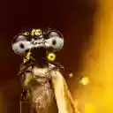 Bright eyes  screen for extension Chrome web store in OffiDocs Chromium