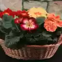 Bright flower basket  screen for extension Chrome web store in OffiDocs Chromium