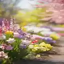 Bright flower garden wallpaper  screen for extension Chrome web store in OffiDocs Chromium