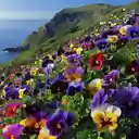 Bright flower hill wallpaper  screen for extension Chrome web store in OffiDocs Chromium