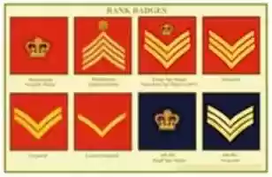 Free download British Army Rank and Trade Badges free photo or picture to be edited with GIMP online image editor