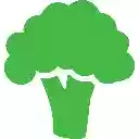 Brocco Extension  screen for extension Chrome web store in OffiDocs Chromium