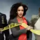 Brooklyn Nine Nine  screen for extension Chrome web store in OffiDocs Chromium