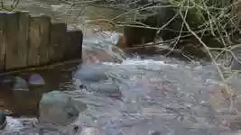 Free download Brook Streams Autumn -  free video to be edited with OpenShot online video editor