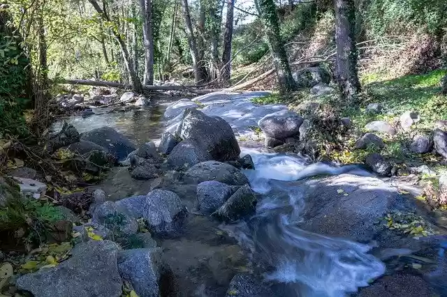 Free download Brook Water Rocks -  free free photo or picture to be edited with GIMP online image editor