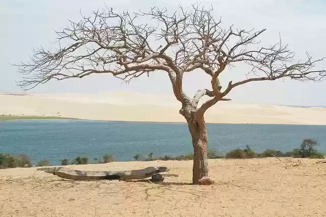 Free download Brother Listen -  free free photo or picture to be edited with GIMP online image editor