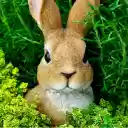 Brown Rabbit Figurine  screen for extension Chrome web store in OffiDocs Chromium